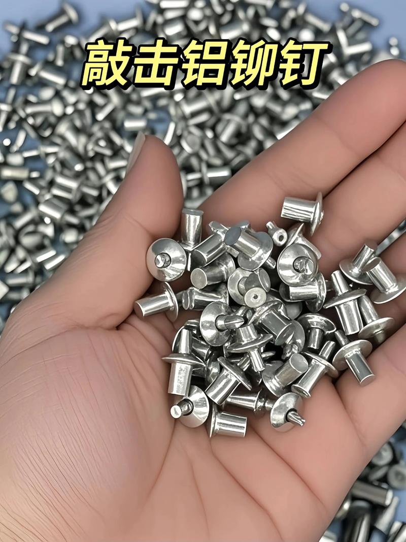 #击芯铆钉 #放在打好的洞里砸几下就能固定#五金工具#操作简